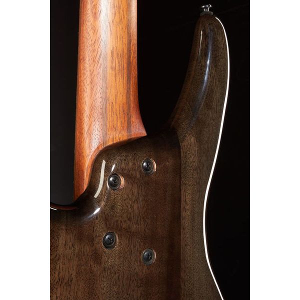 Ibanez SRMS805-DTW Workshop