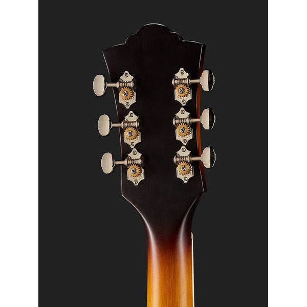 Guild F-250E Deluxe ATB