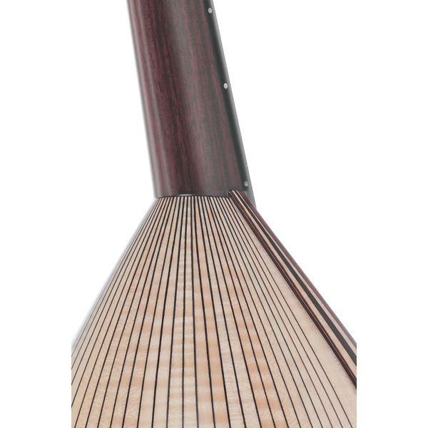 Atsushi Miyano Round Back Mandolin M-4 MR