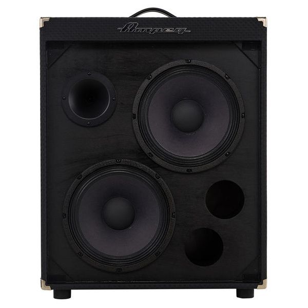 Ampeg RB-210
