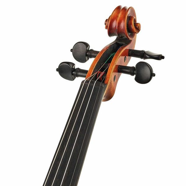 Karl H&ouml;fner H225-BG-V G.B. Guadagnini