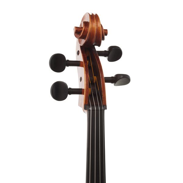 Gewa Maestro 31 Cello 4/4
