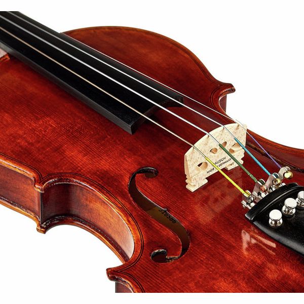 Roth & Junius Europe Antiqued Violin Set 1/2