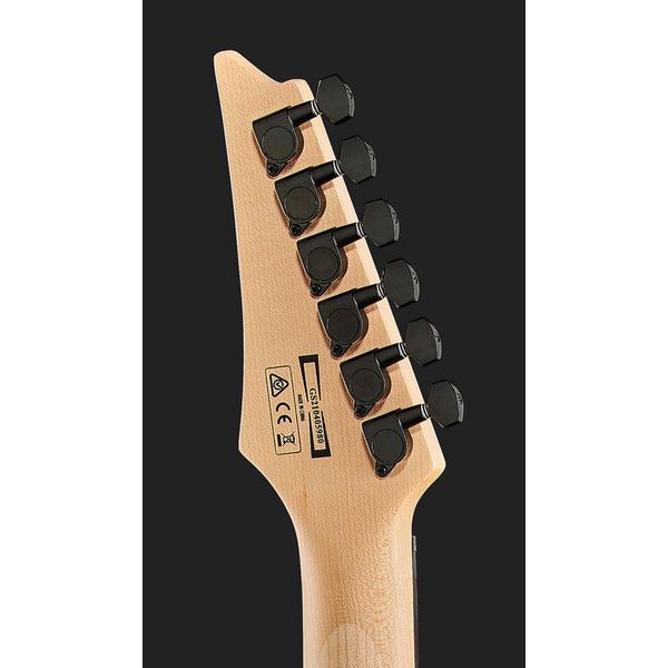 Ibanez GRG120QASP-BGD