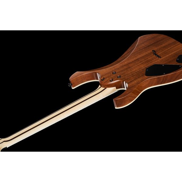 Ibanez RGR5221-TFR Prestige