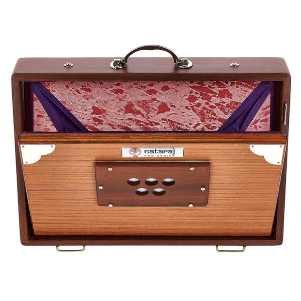 Thomann Nataraj Prof. Shruti C-C Small