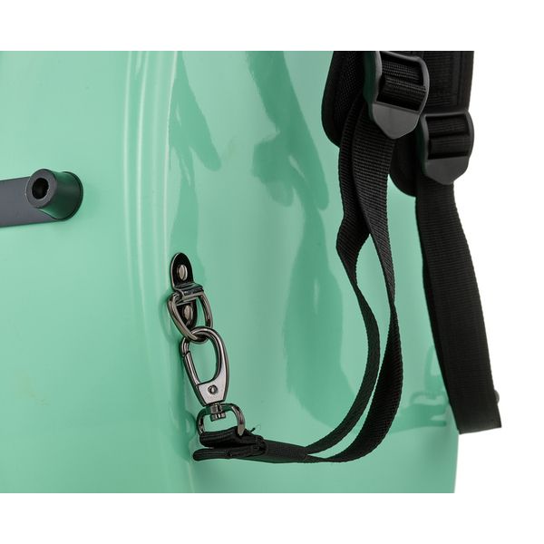 JW-eastman CE133 4/4 Cello Case PPG