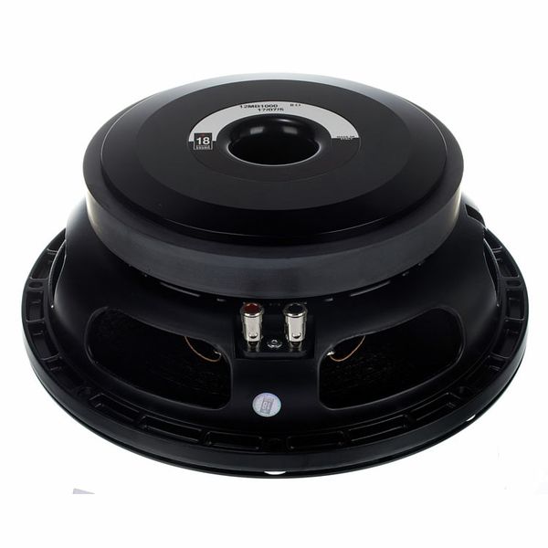 Eighteensound 12MB1000