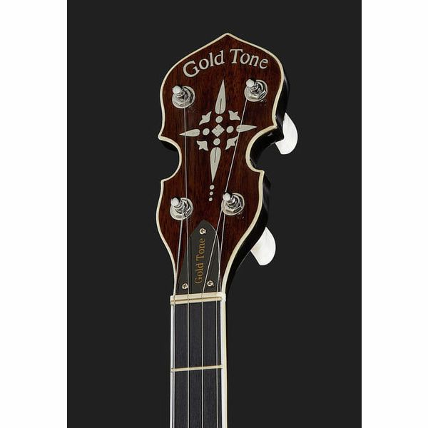 Gold Tone BG-150F Banjo