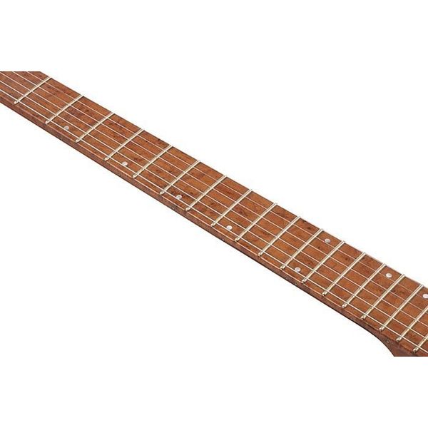 Ibanez Q54-BKF