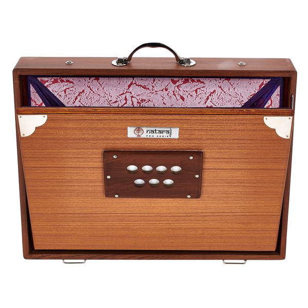 Thomann Nataraj Prof. Shruti Box G-G