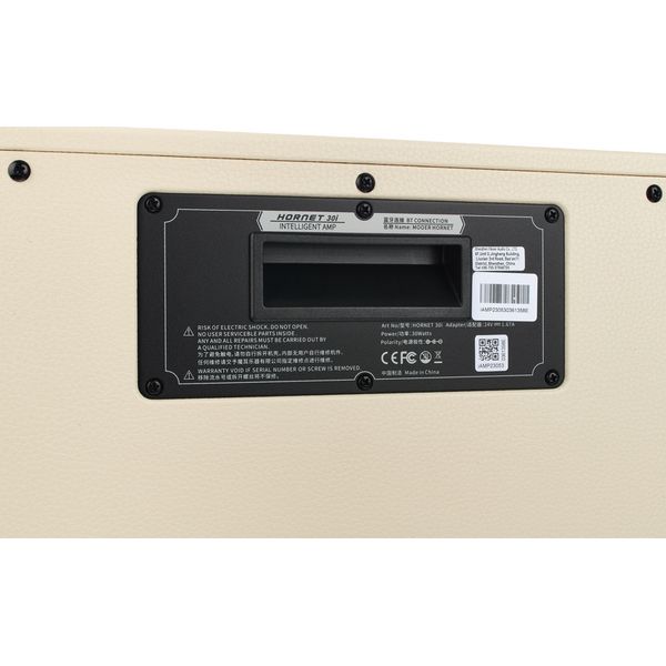 Mooer Hornet 30i Modeling Amp White