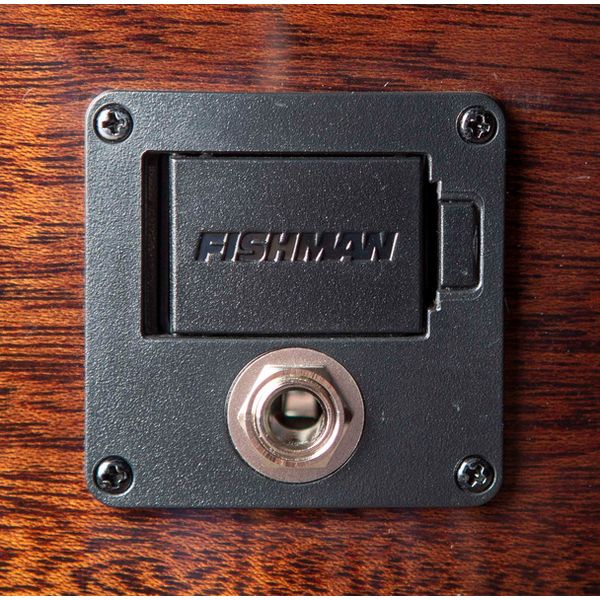 Breedlove Wildwood Pro Drdnght Conc CE