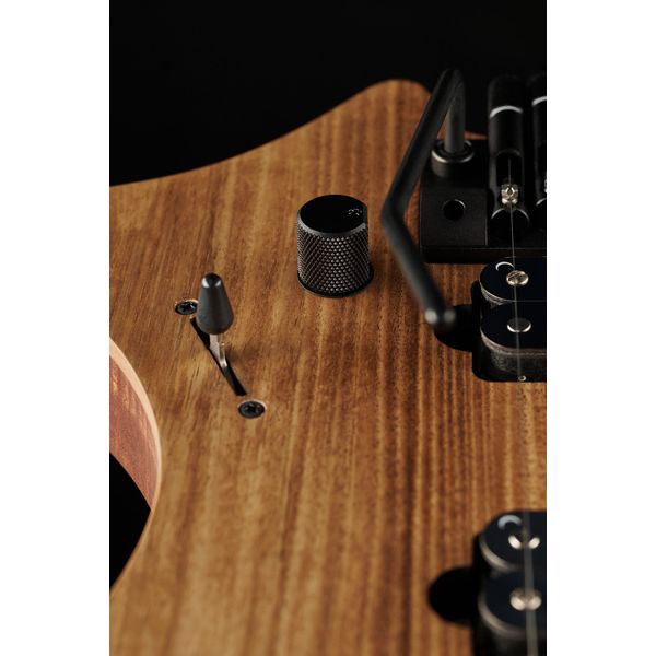 Strandberg Boden Prog NX 6 Plini Edition