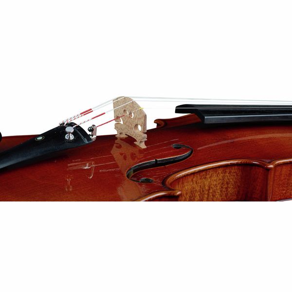 Ernst Heinrich Roth 64/IX-R Master Violin