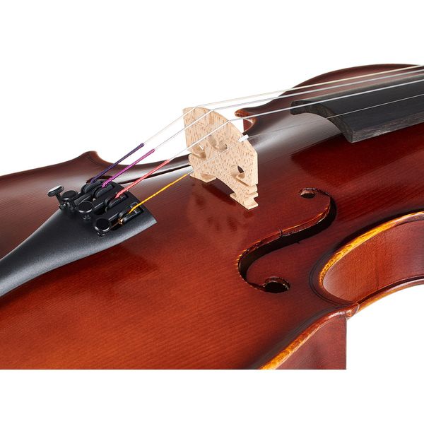 Gewa Allegro Violin Set 4/4 OC MB