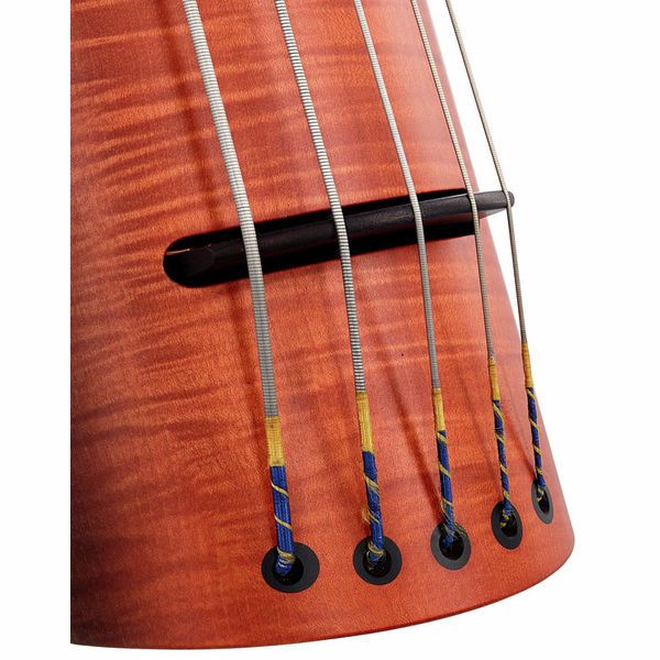 NS Design NXT5a-DB-SB Double Bass