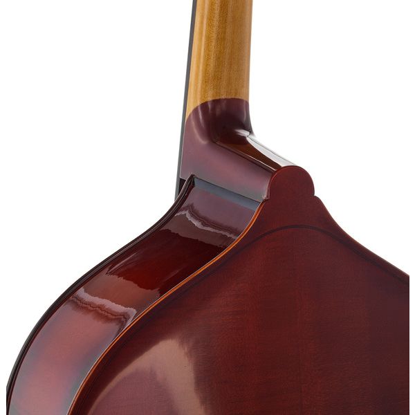 Thomann 44AS/5str/LH 3/4 Europe Bass