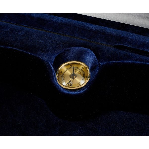 Artonus Quart Violin Case 4/4 GG