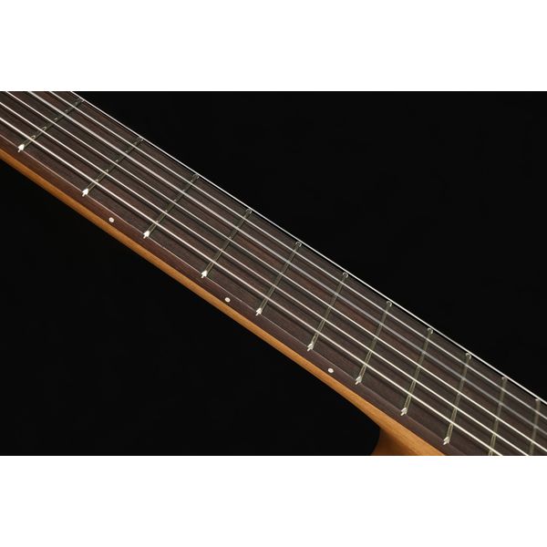 H&ouml;fner Meister Series HM65-F-CE