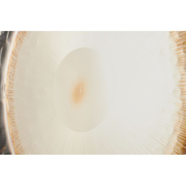 Thomann 32"/81cm Planet Gong Chiron