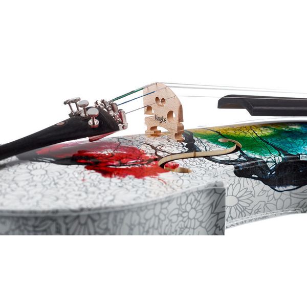 Thomann Rainbow Violin Set 4/4