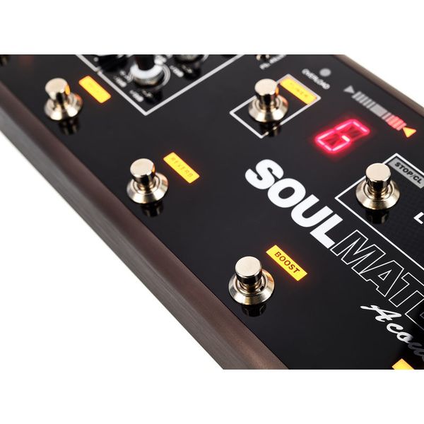 T-Rex Soulmate Acoustic