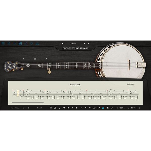 Ample Sound Ample Ethno Banjo