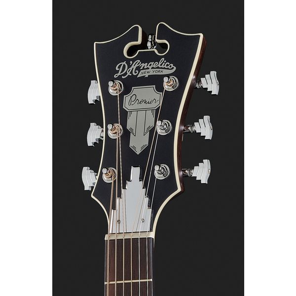 DAngelico Premier Tammany LS SVSB