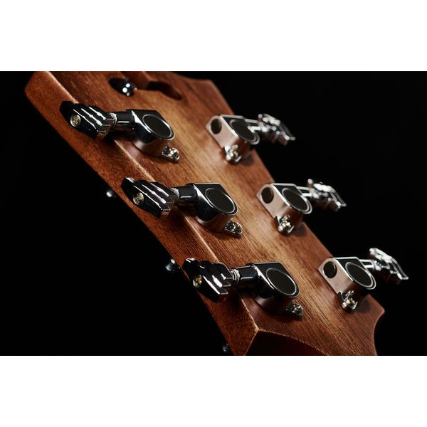 DAngelico Premier Bowery LS Aged Mah