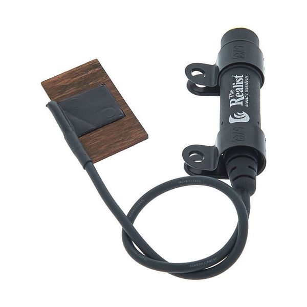 David Gage The Realist Bass Naturalist