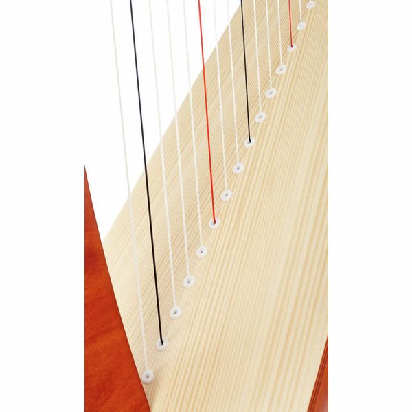 Salvi Juno 25 Cherry Sipario Bioc.