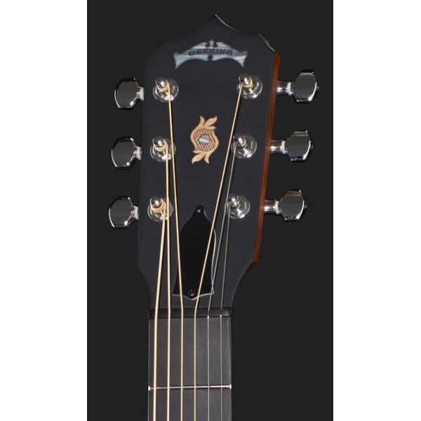 Deering Boston 6 String Banjo