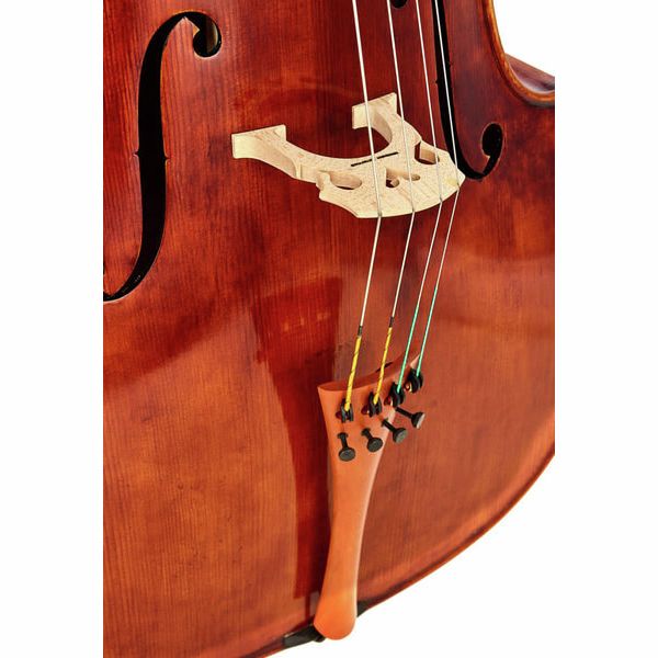 Rainer W. Leonhardt No. 60/2 Master Cello 4/4