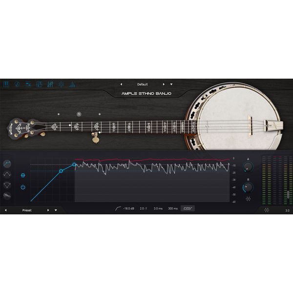 Ample Sound Ample Ethno Banjo