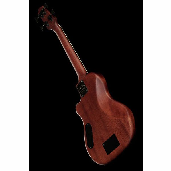 Gold Tone ME-BASS/Fretless