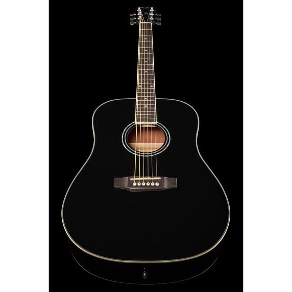 Harley Benton D120BK Bundle English