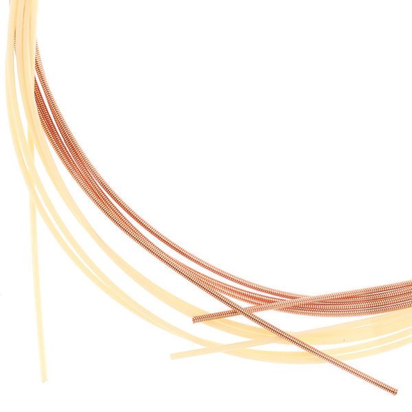 Aquila Renaissance Lute Strings 8C