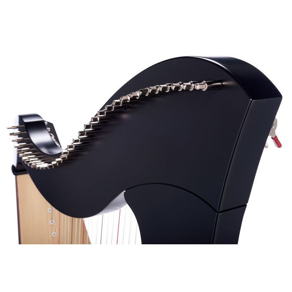 Salvi Mia 34 Ebony Silkgut