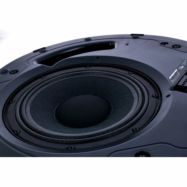Bose Professional DesignMax DM8C black