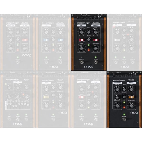 Moog Moogerfooger Custom Bundle 2