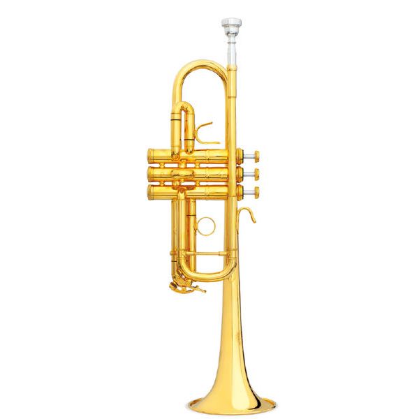 B&S 3136TC-GL Challenger II