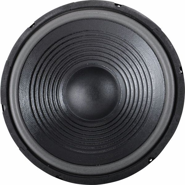 the box 12" Speaker for TT305-H