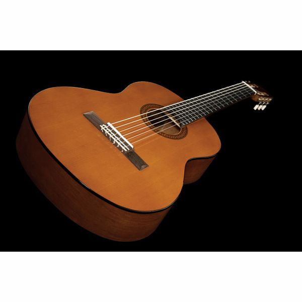 Yamaha CGS102A