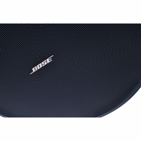 Bose Professional DesignMax DM6C black