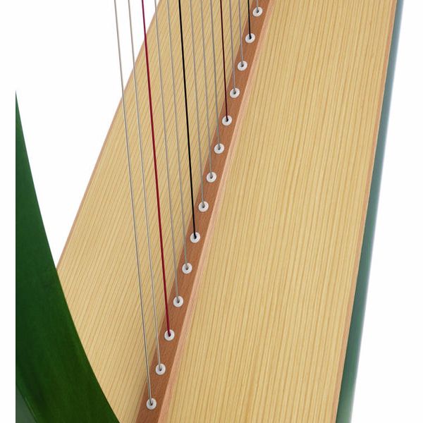 Salvi Una Green Silkgut