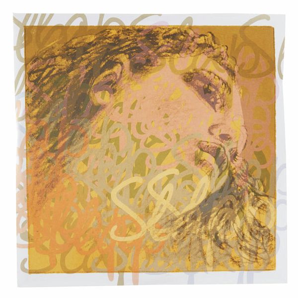 Pirastro Evah Pirazzi Slap Strings Set