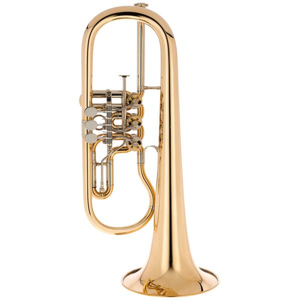 Gerd Dowids BZ-Series GL91 raw