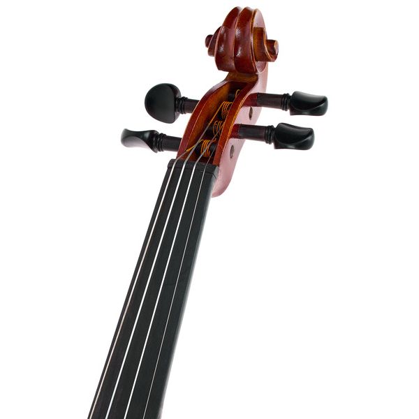 Gewa Ideale Violin Set 4/4 SC CB
