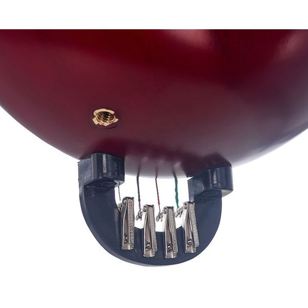 Artino Chinese LiuQin Standard